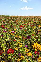 PC Gamer长文：《暗黑4》终于变成我们想要的那个游戏